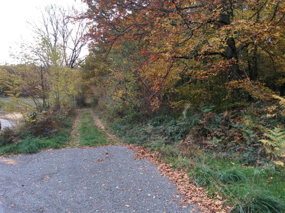 Appartement Vert, Compreignac Bagian luar foto