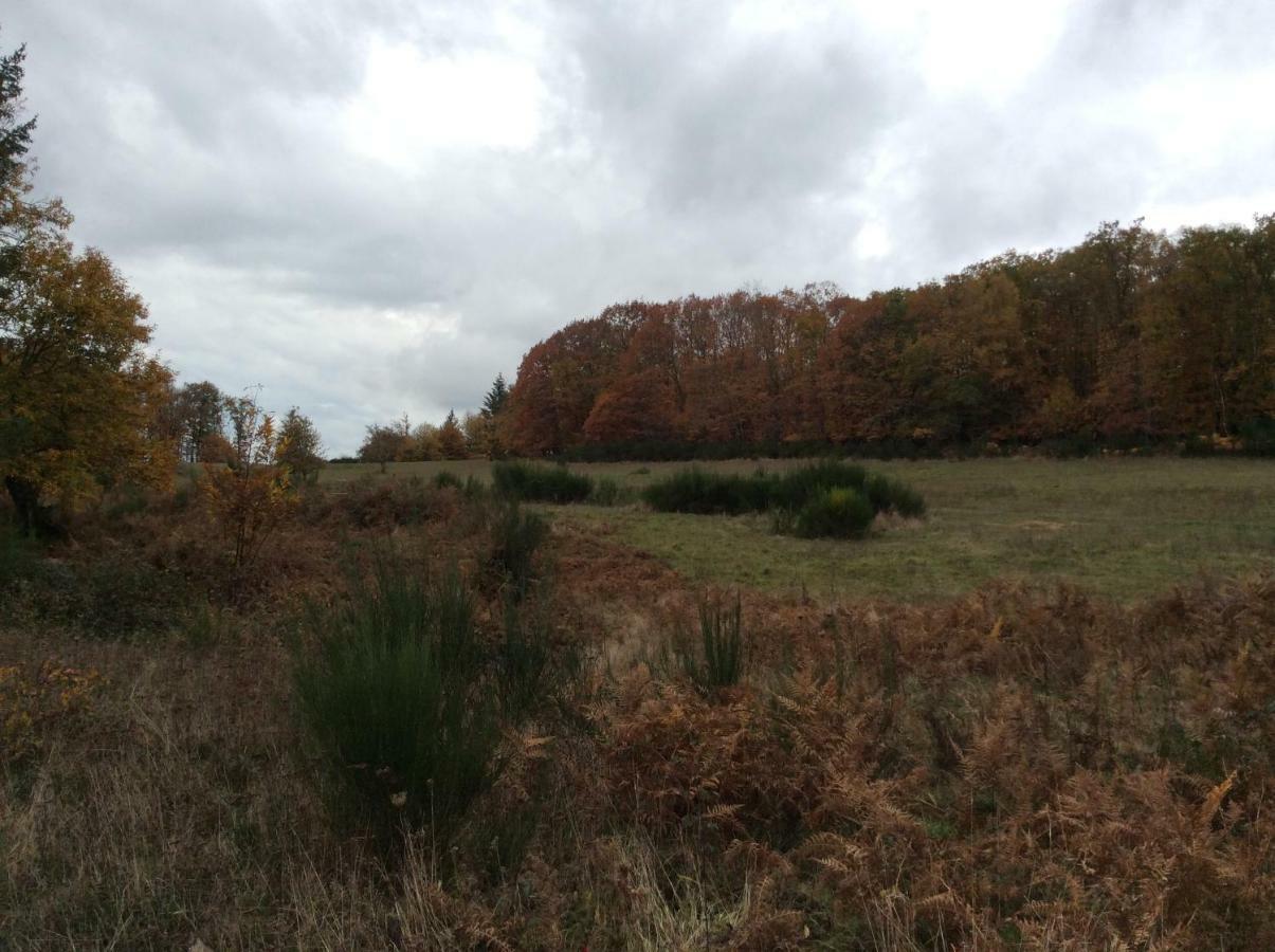 Appartement Vert, Compreignac Bagian luar foto