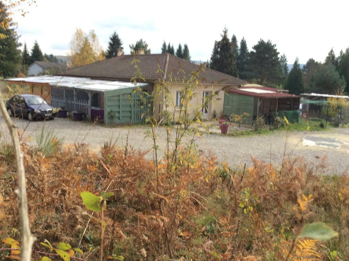 Appartement Vert, Compreignac Bagian luar foto