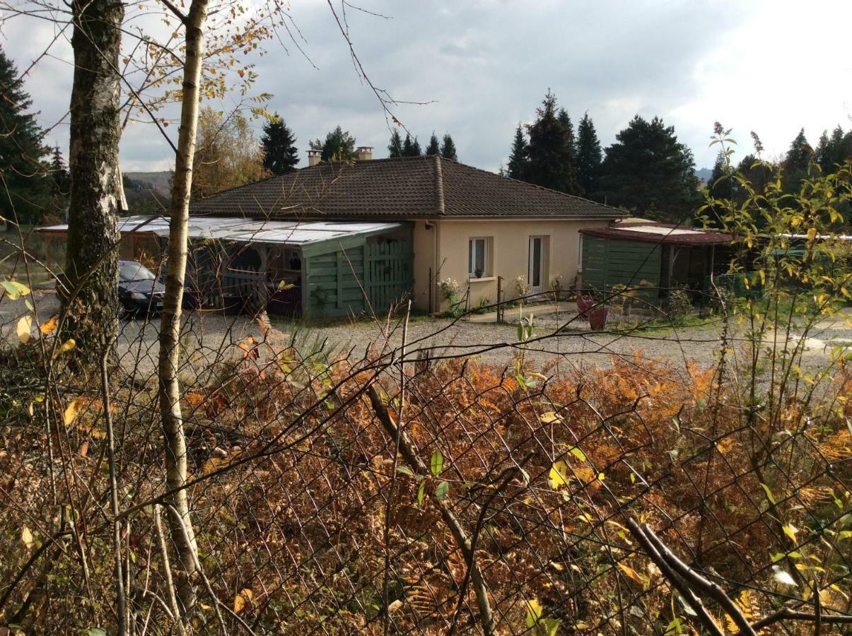 Appartement Vert, Compreignac Bagian luar foto